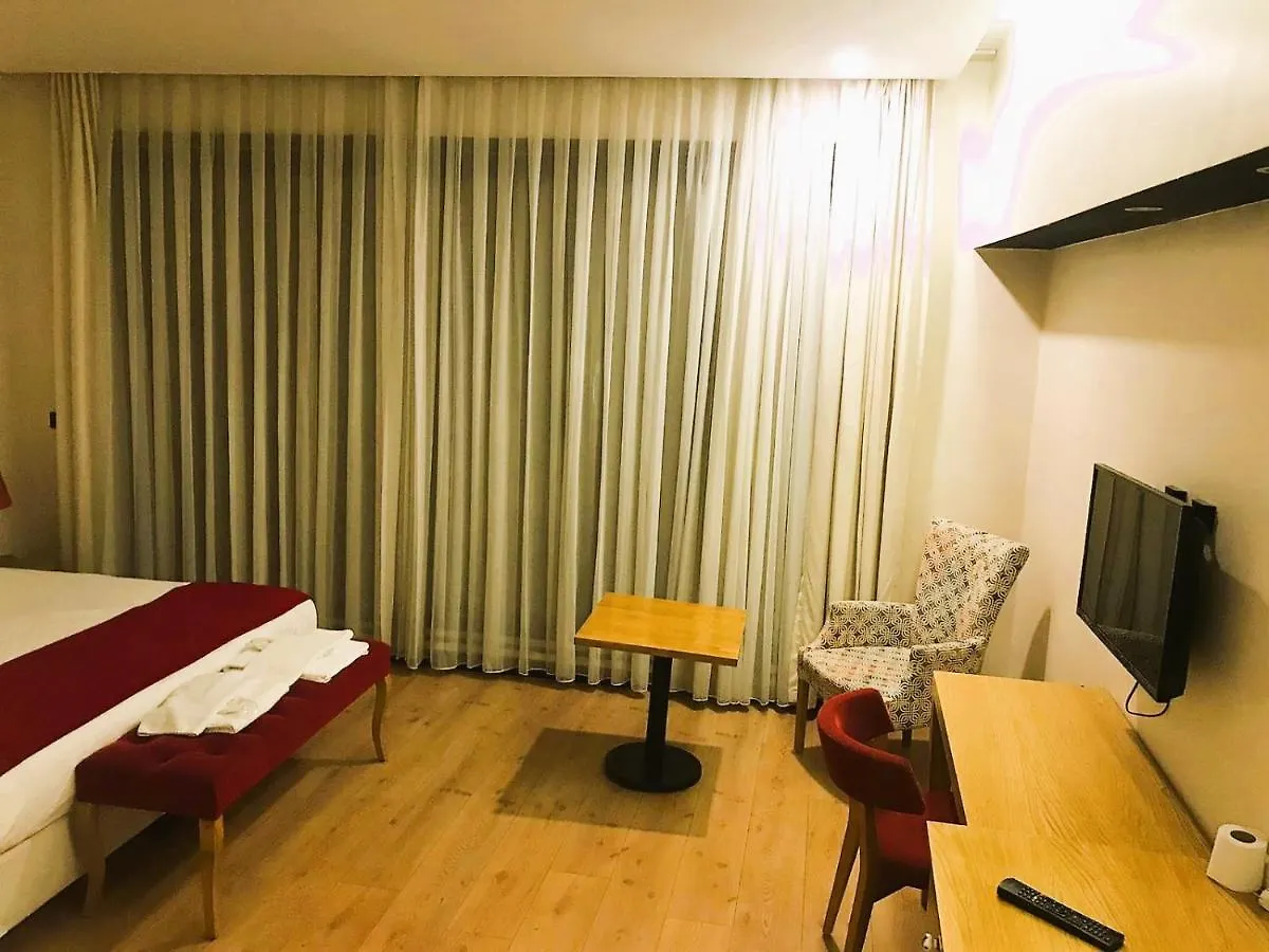 اسطنبول Harbiye Hotel & Suites تركيا